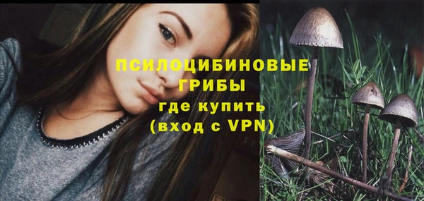 стаф Арсеньев