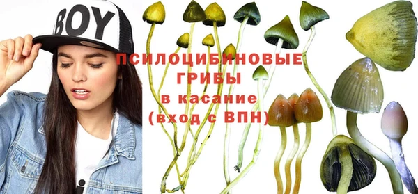 молекула духа Балабаново