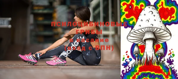молекула духа Балабаново