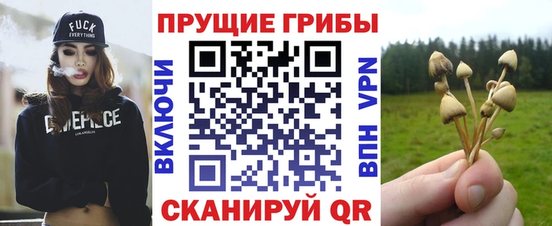 Псилоцибиновые грибы Psilocybine cubensis  сколько стоит  Гурьевск 